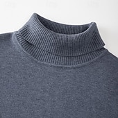 abordables Pull col rond-Homme Pull Pull en tricot Pull à col roulé pour homme A côtes Tricoter Normal Tricoté Plein Col Roulé Mode basique Usage quotidien Rendez-vous Vêtement Tenue Automne hiver Noir Blanche S M L