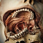 voordelige Halloween Hangende en Tafelversieringen-Transfiguratio Mortis standbeeld, tijd zandloper hars sculpturen ornamenten abstracte collectible beeldjes voor thuiskantoor boekenplank desktop decor