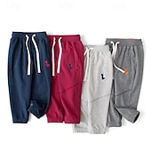 cheap Bottoms-Boys 3D Dinosaur Pants Sweatpants Spring Fall Active Basic Kids 4 years+ Outdoor Sport Casual Regular Fit