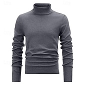 abordables Pull col rond-Homme Pull Pull en tricot Pull à col roulé pour homme A côtes Tricoter Normal Tricoté Plein Col Roulé Mode basique Usage quotidien Rendez-vous Vêtement Tenue Automne hiver Noir Blanche S M L