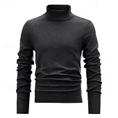 abordables Pull col rond-Homme Pull Pull en tricot Pull à col roulé pour homme A côtes Tricoter Normal Tricoté Plein Col Roulé Mode basique Usage quotidien Rendez-vous Vêtement Tenue Automne hiver Noir Blanche S M L