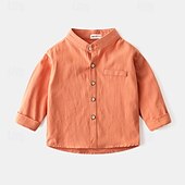 billiga T-shirts och skjortor för pojkar-Pojkar 3D Ensfärgat Skjortor Långärmad Sommar Vår Mode Grundläggande Lilla barn (4-7år) 4-7 år Tröjkrage Utomhus Ledigt Dagligen Normal