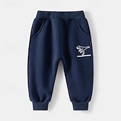 billiga Kläder för pojkar-Pojkar 3D Tecknat Dinosaurie Sportdräkt Träningsoveraller Sweatshirt set Långärmad Vår Höst Dagligen Ledigt Komfort Barn 4-7 år Rund hals Utomhus Semester Sport Skräddarsydd passform