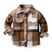 abordables Camisetas y camisas-Chico 3D Plaid Camisas Manga Larga Otoño Invierno Moda Básico Niños 4-12 años Diseño Exterior Casual Diario Ajuste regular