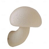 levne Vnitřní nástěnná světla-led nástěnné svítidlo houbové minimalistické nástěnné svítidlo svítidlo vnitřní osvětlení pro obývací pokoj ložnice teplá bílá 110-240v