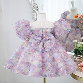 cheap Party Dresses-Toddler Girls&#039; Party Dress Sequin Sleeveless Performance Mesh Cute Princess Polyester Above Knee Sheath Dress Tulle Dress Summer Spring Fall 3-7 Years Pink Mint Green Purple