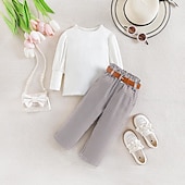 preiswerte Sets-Mädchen 3D Feste Farbe Plaid T-Shirt &amp; Hose Set Langarm Sommer Brautkleider schlicht Streetstyle Baby 1-5 Jahre Rundhalsausschnitt Outdoor Lockere Passform