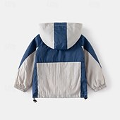 voordelige Bovenkleding-Jongens 3D Effen Kleur Jas Overkleding Lange mouw Zomer Lente Modieus Basic Kleine kinderen (4-7ys) 4-7 jaar Capuchon Buiten Casual Dagelijks Normale pasvorm