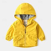 abordables Manteaux et vestes-Garçons 3D Couleur Unie Camouflage Manteau Vêtements d&#039;extérieur manche longue Automne Hiver Mode Basique Petits enfants (4-7 ans) 4-7 ans À capuche Extérieur Occasionnel Quotidien Coupe régulière