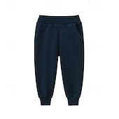 billiga Underdelar-Pojkar 3D Ensfärgat Byxor Joggingbyxor Vår Höst Aktiv Grundläggande Barn 4 år + Utomhus Sport Ledigt Normal