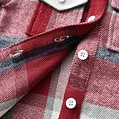 abordables Camisetas y camisas-Chico 3D Plaid Camisas Manga Larga Otoño Invierno Moda Básico Niños 4-12 años Diseño Exterior Casual Diario Ajuste regular