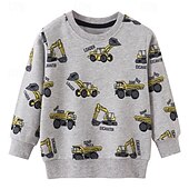 billiga Huvtröjor och tröjor för pojkar-Pojkar 3D Tecknat Tröja Långärmad Vår Höst Mode Grundläggande Lilla barn (4-7år) 4-7 år Rund hals Utomhus Ledigt Dagligen Normal
