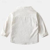 billiga T-shirts och skjortor för pojkar-Pojkar 3D Ensfärgat Skjortor Långärmad Sommar Vår Mode Grundläggande Lilla barn (4-7år) 4-7 år Tröjkrage Utomhus Ledigt Dagligen Normal