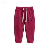 cheap Bottoms-Boys 3D Dinosaur Pants Sweatpants Spring Fall Active Basic Kids 4 years+ Outdoor Sport Casual Regular Fit