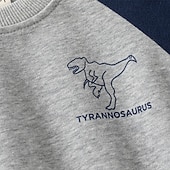 billiga Kläder för pojkar-Pojkar 3D Tecknat Dinosaurie Sportdräkt Träningsoveraller Sweatshirt set Långärmad Vår Höst Dagligen Ledigt Komfort Barn 4-7 år Rund hals Utomhus Semester Sport Skräddarsydd passform