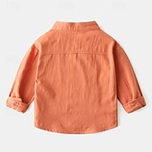 billiga T-shirts och skjortor för pojkar-Pojkar 3D Ensfärgat Skjortor Långärmad Sommar Vår Mode Grundläggande Lilla barn (4-7år) 4-7 år Tröjkrage Utomhus Ledigt Dagligen Normal