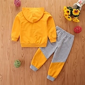 billiga Kläder för pojkar-2 delar Småbarn Pojkar Huvtröja &amp; träningsbyxor Set Utrusta Tecknat Långärmad Crewneck Uppsättning Skola Mode Dagligen Höst 4-7 år Gul