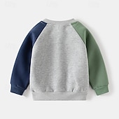 billiga Kläder för pojkar-Pojkar 3D Tecknat Dinosaurie Sportdräkt Träningsoveraller Sweatshirt set Långärmad Vår Höst Dagligen Ledigt Komfort Barn 4-7 år Rund hals Utomhus Semester Sport Skräddarsydd passform