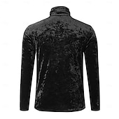 billiga grundläggande t-shirts-Herr T-shirt i sammet Långärmad tröja Mock turtleneck Långärmad Polokrage Sommar Ensfärgat Dagligen Hawaiisk Knappar Utomhus Gata Casual Svart Vit Grön Topp t-shirt för män