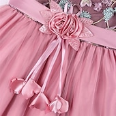 preiswerte Kleider für die Blumenmädchen-Mädchen&#039; 3D Blume Blumenmädchen Kleid Party Kleid Ärmellos Sommer Leistung Hochzeit Party Prinzessin Schön Süß kinderkleidung 4-12 Jahre abendkleider Schaukelkleid A Linie Kleid Midi Regular Fit