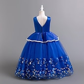 levne Párty šaty-Děti Dívčí Šaty na párty Pevná barva Flitry Puntíky Bez rukávů Svatební Vánoční Večírek Elegantní Princeznovské Polyester Maxi Flitrové šaty Šaty na párty Tylové šaty Léto Jaro Podzim 4-12 let Čern