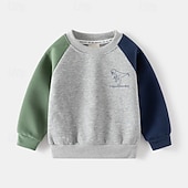billiga Kläder för pojkar-Pojkar 3D Tecknat Dinosaurie Sportdräkt Träningsoveraller Sweatshirt set Långärmad Vår Höst Dagligen Ledigt Komfort Barn 4-7 år Rund hals Utomhus Semester Sport Skräddarsydd passform