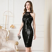 preiswerte 1920er Kleider-Goldene Zwanziger 1920er Knielang Kleid Flapper Kleid Outfits Ärmellos Der große Gatsby Charleston Hochzeitsgast Pailletten Quastenfransen Feder Neckholder Kostüm Damen Neujahr Maskerade