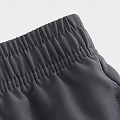 abordables Pantalones cortos de sudor-Hombre Pantalones cortos de sudor Pantalón corto Pantalones cortos de verano Bolsillo Cintura elástica Plano Comodidad Corto Deporte Diario Noche Moda Casual Negro Azul Real Microelástico