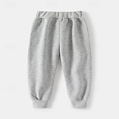 billiga Kläder för pojkar-Pojkar 3D Tecknat Dinosaurie Sportdräkt Träningsoveraller Sweatshirt set Långärmad Vår Höst Dagligen Ledigt Komfort Barn 4-7 år Rund hals Utomhus Semester Sport Skräddarsydd passform