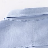 billiga T-shirts och skjortor för pojkar-Pojkar 3D Ensfärgat Skjortor Långärmad Sommar Vår Mode Grundläggande Lilla barn (4-7år) 4-7 år Kavajslag Utomhus Ledigt Dagligen Normal