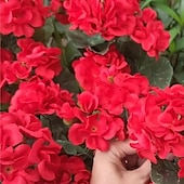 halpa Tekokasvit ja kukat-keinotekoinen punainen geranium silkkikukkia ulkokasvin pensas 2 nippua tekokukkia pelargonioita ulkokäyttöön kukka kodin sisustukseen sisäpuutarha patio maljakko hauta hautausmaa pöydän keskiosat
