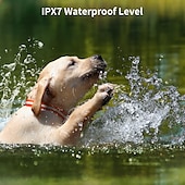 お買い得  犬用トレーニング用品-犬の訓練用首輪、調節可能なビープ音、振動ショック、防水機能付き、犬用吠え防止首輪 &amp;大型中型犬用 LED 首輪 リモート首輪 3300 フィート プロフェッショナル犬用首輪