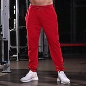 お買い得  ランニングパンツとタイツ-男性用 スウェットパンツ ランニングパンツ トラックパンツ ポケット ドローストリング 弾性ウエストバンド パンツ アウトドア スポーツ 屋内 秋 コットン 高通気性 ソフト マラソン ランニング いい結果になる テイラーフィット スポーツウェア アクティブウェア ソリッド ブラック ルビーレッド グリーン