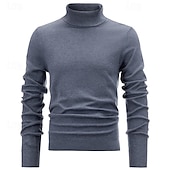 abordables Pull col rond-Homme Pull Pull en tricot Pull à col roulé pour homme A côtes Tricoter Normal Tricoté Plein Col Roulé Mode basique Usage quotidien Rendez-vous Vêtement Tenue Automne hiver Noir Blanche S M L