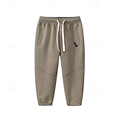 cheap Bottoms-Boys 3D Dinosaur Pants Sweatpants Spring Fall Active Basic Kids 4 years+ Outdoor Sport Casual Regular Fit