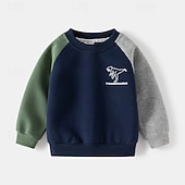 billiga Kläder för pojkar-Pojkar 3D Tecknat Dinosaurie Sportdräkt Träningsoveraller Sweatshirt set Långärmad Vår Höst Dagligen Ledigt Komfort Barn 4-7 år Rund hals Utomhus Semester Sport Skräddarsydd passform