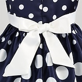 preiswerte Partykleider-Mädchen&#039; 3D Stelle Party Kleid Ärmellos Sommer Leistung Party Geburtstag Prinzessin Schön Süß kinderkleidung 4-12 Jahre abendkleider Schaukelkleid A Linie Kleid Midi Regular Fit