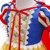 levne Dívčí kostýmy-Sněhově bílá Princeznovské Šaty Kostým Květinové šaty cosplay Filmové kostýmy for Dívčí Děti Karneval Výkon Párty