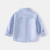 billiga T-shirts och skjortor för pojkar-Pojkar 3D Ensfärgat Skjortor Långärmad Sommar Vår Mode Grundläggande Lilla barn (4-7år) 4-7 år Kavajslag Utomhus Ledigt Dagligen Normal