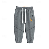 cheap Bottoms-Boys 3D Dinosaur Pants Sweatpants Spring Fall Active Basic Kids 4 years+ Outdoor Sport Casual Regular Fit