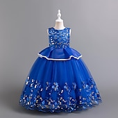 levne Párty šaty-Děti Dívčí Šaty na párty Pevná barva Flitry Puntíky Bez rukávů Svatební Vánoční Večírek Elegantní Princeznovské Polyester Maxi Flitrové šaty Šaty na párty Tylové šaty Léto Jaro Podzim 4-12 let Čern