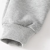 billiga Kläder för pojkar-Pojkar 3D Tecknat Dinosaurie Sportdräkt Träningsoveraller Sweatshirt set Långärmad Vår Höst Dagligen Ledigt Komfort Barn 4-7 år Rund hals Utomhus Semester Sport Skräddarsydd passform