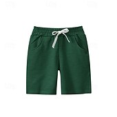 billiga Underdelar-Pojkar 3D Ensfärgat Shorts Sommar Aktiv Grundläggande Barn 4 år + Utomhus Sport Ledigt Normal