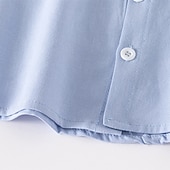 billiga T-shirts och skjortor för pojkar-Pojkar 3D Ensfärgat Skjortor Långärmad Sommar Vår Mode Grundläggande Lilla barn (4-7år) 4-7 år Kavajslag Utomhus Ledigt Dagligen Normal
