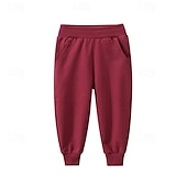billiga Underdelar-Pojkar 3D Ensfärgat Byxor Joggingbyxor Vår Höst Aktiv Grundläggande Barn 4 år + Utomhus Sport Ledigt Normal