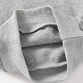 billiga Kläder för pojkar-Pojkar 3D Tecknat Dinosaurie Sportdräkt Träningsoveraller Sweatshirt set Långärmad Vår Höst Dagligen Ledigt Komfort Barn 4-7 år Rund hals Utomhus Semester Sport Skräddarsydd passform