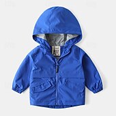 abordables Manteaux et vestes-Garçons 3D Couleur Unie Camouflage Manteau Vêtements d&#039;extérieur manche longue Automne Hiver Mode Basique Petits enfants (4-7 ans) 4-7 ans À capuche Extérieur Occasionnel Quotidien Coupe régulière