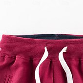 cheap Bottoms-Boys 3D Dinosaur Pants Sweatpants Spring Fall Active Basic Kids 4 years+ Outdoor Sport Casual Regular Fit