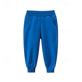 billiga Underdelar-Pojkar 3D Ensfärgat Byxor Joggingbyxor Vår Höst Aktiv Grundläggande Barn 4 år + Utomhus Sport Ledigt Normal