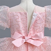 cheap Flower Girl&#039;s Dresses-Flower Girl Dress Girls&#039; Party Dress Performance Wedding Party Princess Beautiful Sweet Sequins Mesh Solid Color Short Sleeve Crew Neck White Pink 4-12 Years